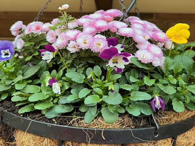 commercial-hanging-baskets (4)-kireth-ai